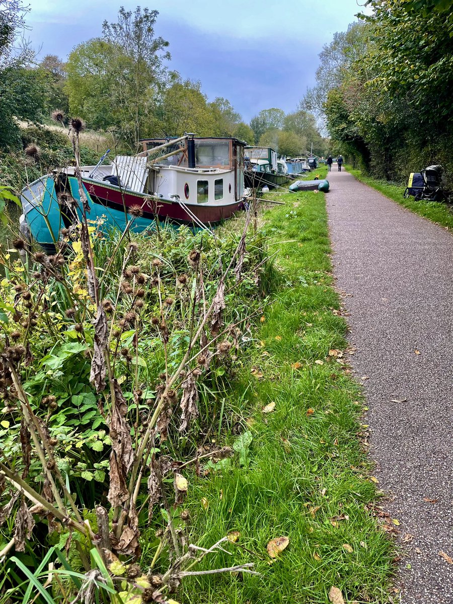 vanessaplain's tweet photo. Weekend autumn walk around Bathampton today.  Lovely to come across wild berries &amp; fungi. Very seasonal. 🍁 https://t.co/OEzBWiBZy7