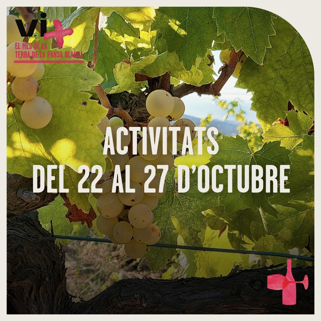👉Del 22 al 27 d'octubre, t'esperem a les últimes activitats del Festival Vi+:

📖Presentació–Tast del llibre DO Alella
🎶Vermut rumbero a Alella
🧀Maridatge de formatges i vins DO Alella
🥂Tast de vins DO Alella a Argentona

+ info a festivalvimes.cat