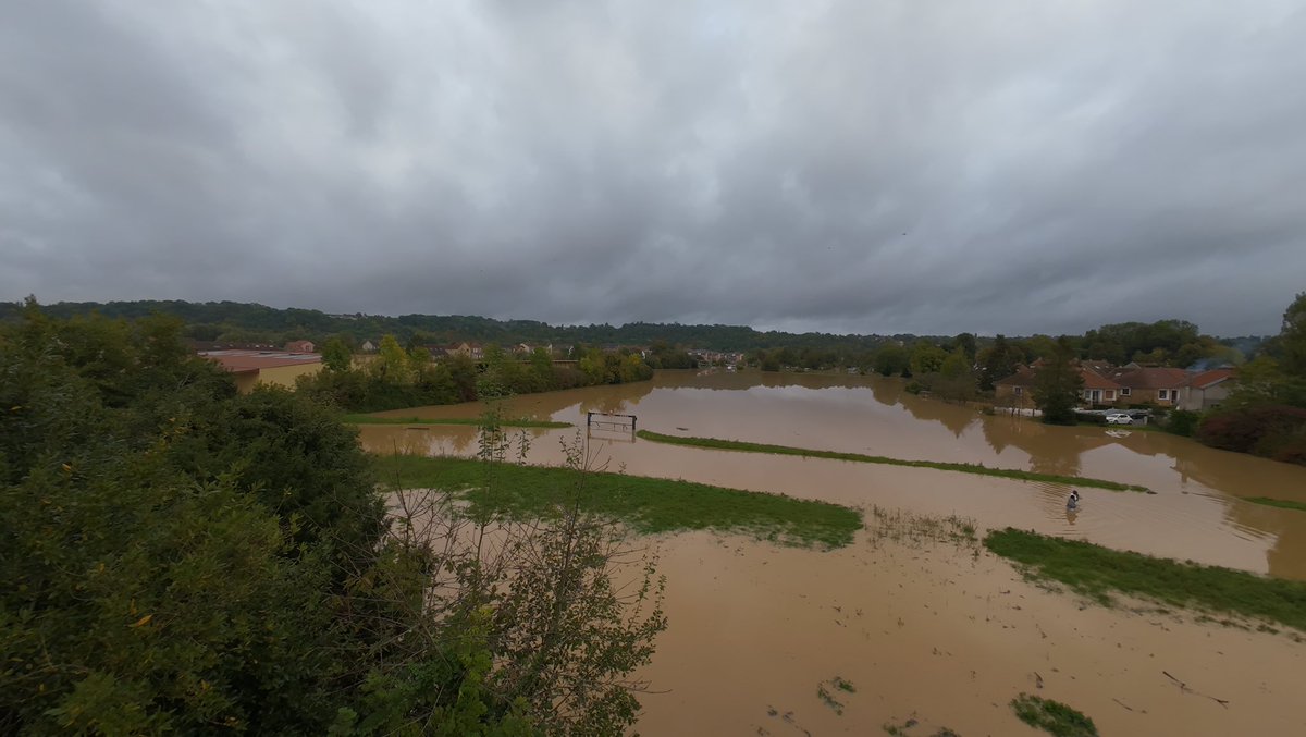 🅒🅨🅟 tweet media