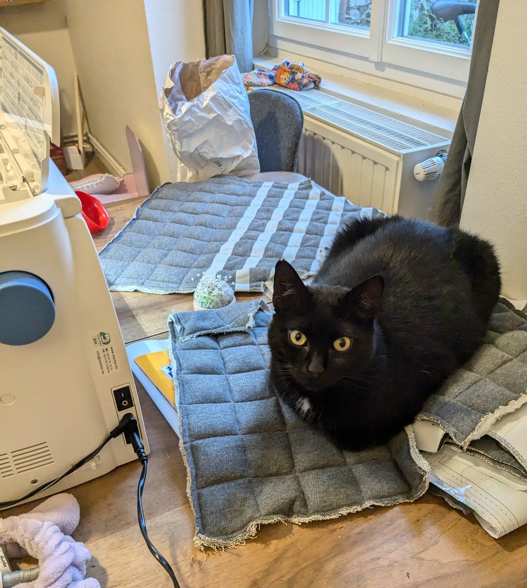 Marion Coville ⏚ @moossye@piaille.fr tweet media