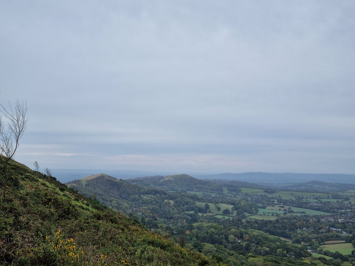 🍁🍂🌥🍂🍁
I did a #Hedgewatch in our garden, and we sent mum and dad out to do a #Hedgewatch on the Malvern Hills.
Who did it best?
Wilf x