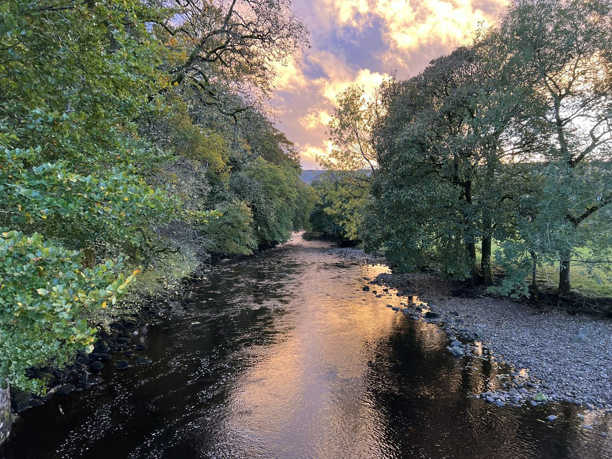 Radhika Merh tweet media