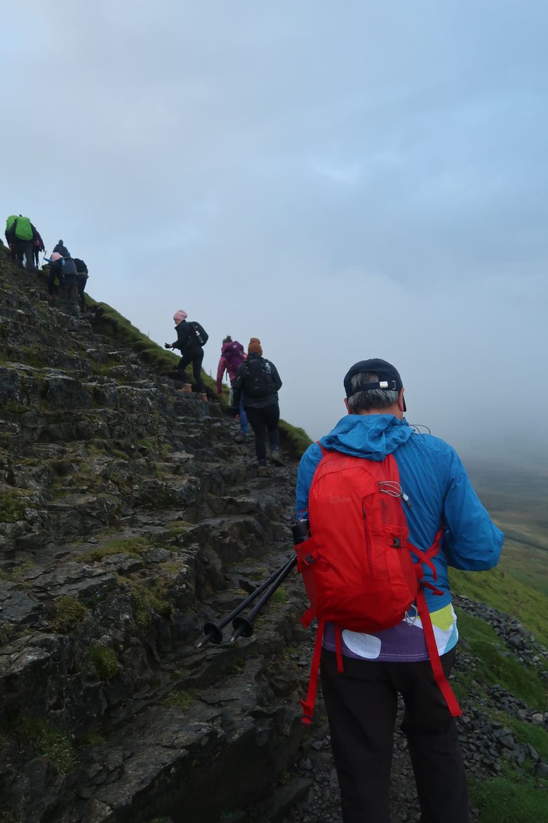 Radhika Merh tweet media