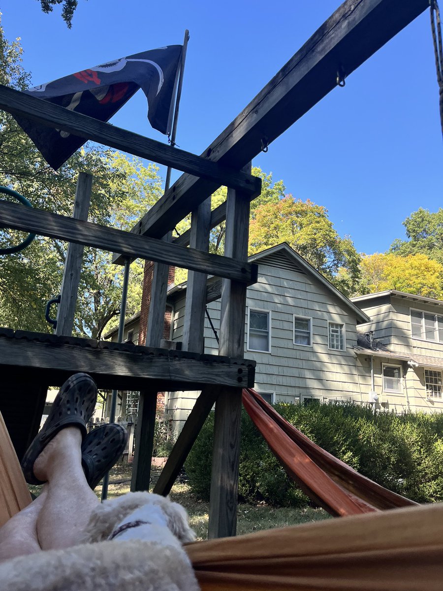 My maple tree starting...