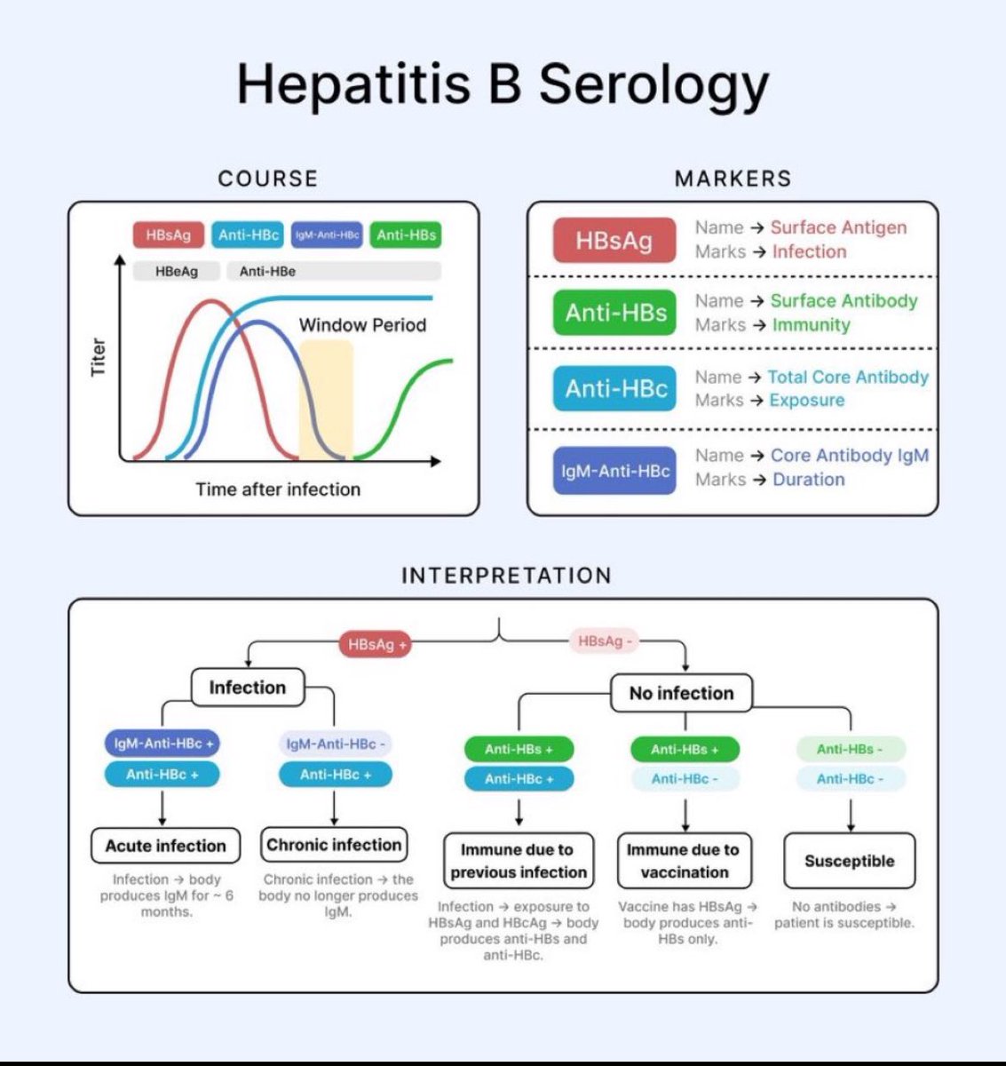 DrAkhilX's tweet image. 🌟HEPATITIS B  - Serology