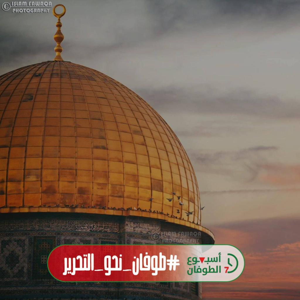 qudsteam22's tweet photo. لأجلها تهون عثرات الطريق، وتنتقل الغاية، فيحيا الإنسان لأجل فكرة ولها يُقدّم.

إنما الأقصى عقيدة 💚

#أسبوع_الطوفان 
#طوفان_نحو_التحرير https://t.co/SjKIQRPUXO