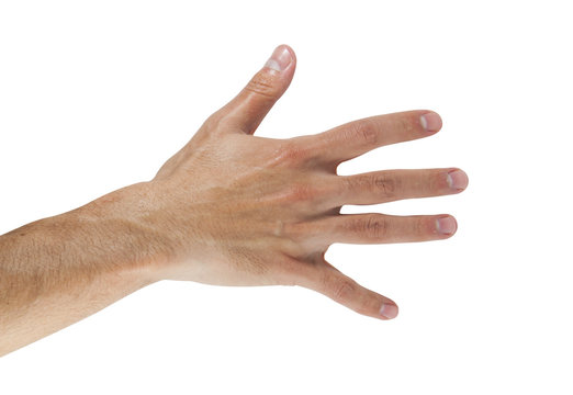 Bagel_Queen | VGEN OPEN !! tweet media