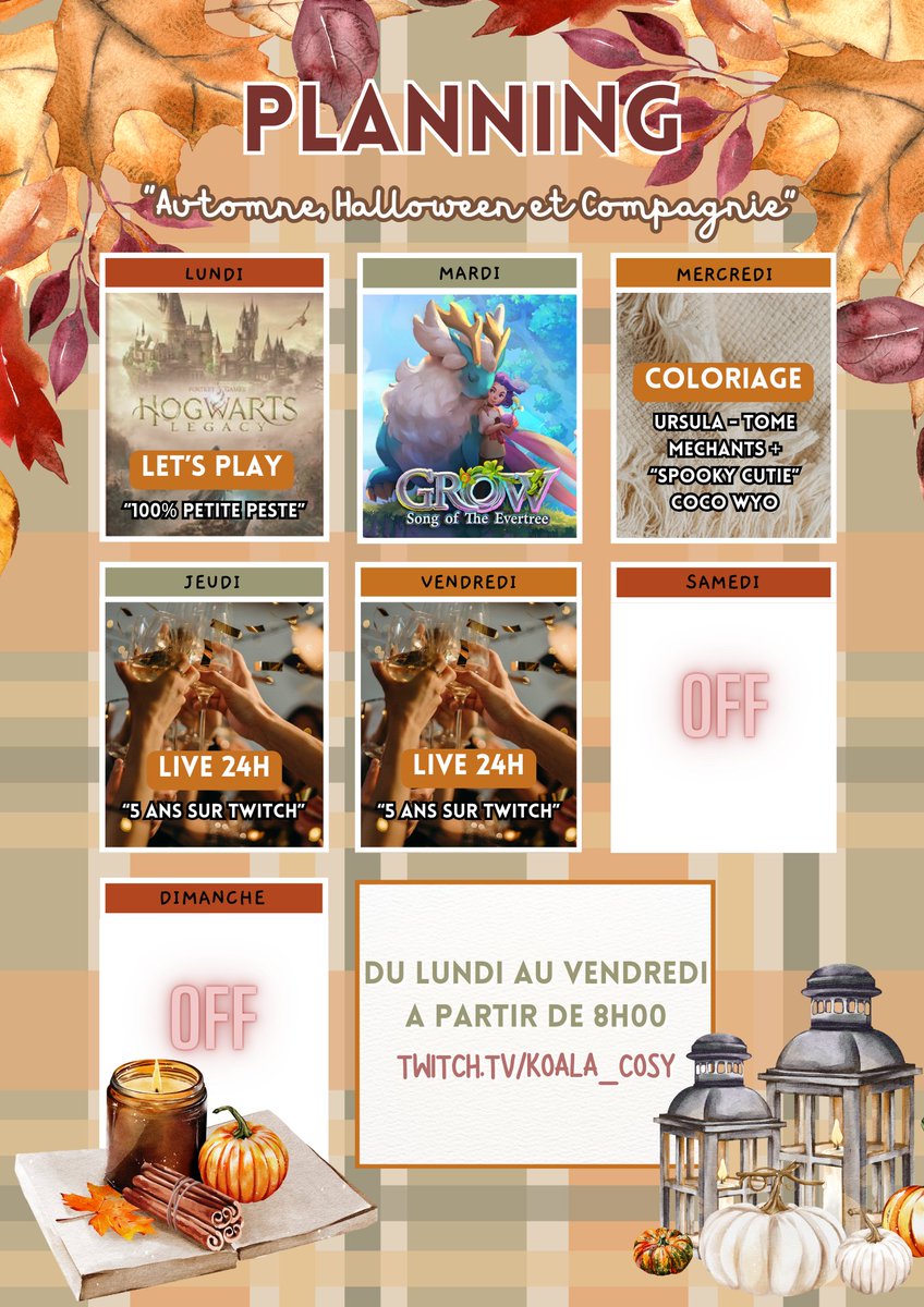 Cosy Koala 🐨🌿 (@cosy_koala) on Twitter photo 