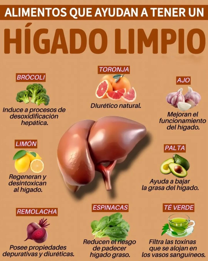 BienestarYM's tweet image. ✨💫🌿☀️Tip Saludable☀️🌿💫✨

🤩HÍGADO LIMPIO🤩

*Regálame un Hola si me lees*
