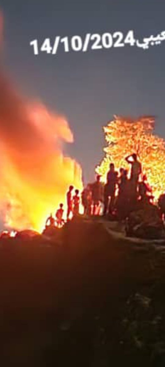جبال يافع والضالع وردفان وابين وشبوه وحضرموت والمهرة وسقطرة 
تعانق السماء بنيران اللهب أبتهاجا بالعيد 61
14من اكتوبر المجيدة

أكتوبر المجيد  ثورتنا الجنوبية