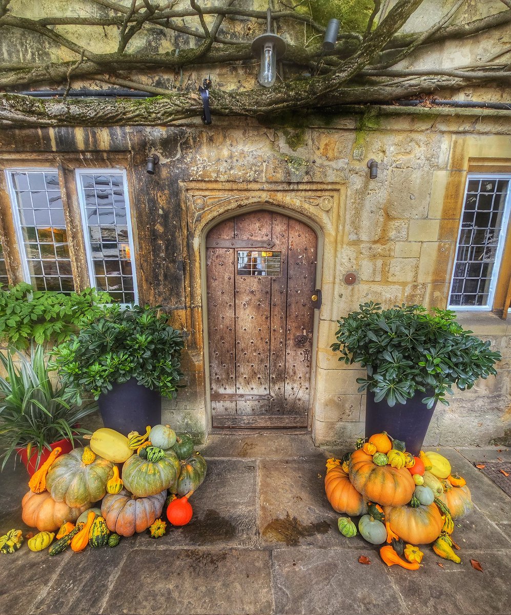 celtus's tweet image. Autumn is my favourite season 

#Oxford #TheOldParsonage #ChristChurchMeadow #RiverCherwell #Autumn #Oxfordshire #MertonCollege @OldParsonageOx @ChCh_Oxford @UniofOxford