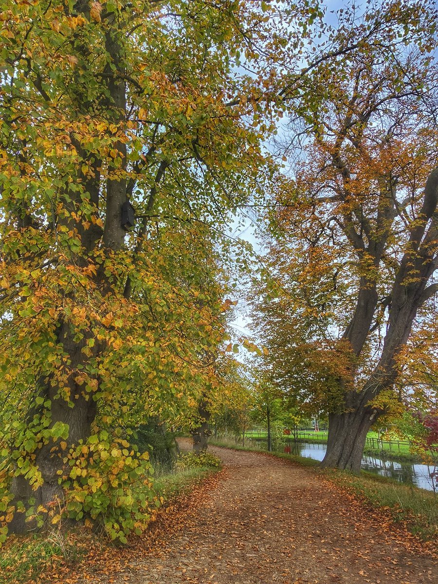 celtus's tweet image. Autumn is my favourite season 

#Oxford #TheOldParsonage #ChristChurchMeadow #RiverCherwell #Autumn #Oxfordshire #MertonCollege @OldParsonageOx @ChCh_Oxford @UniofOxford