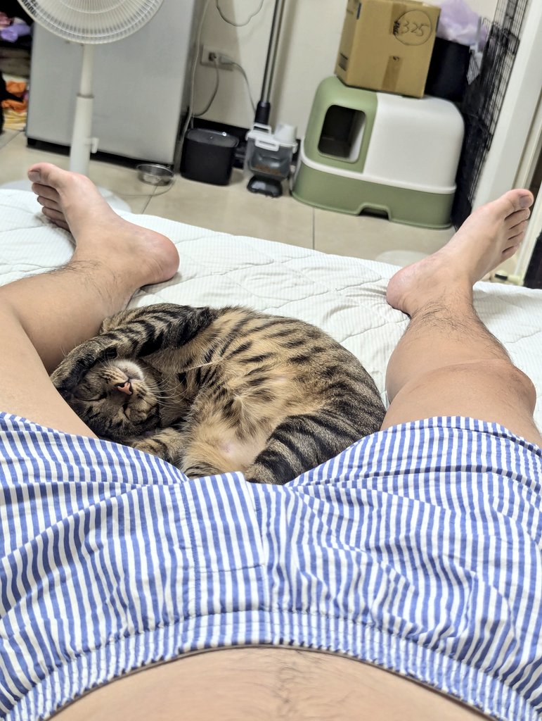 歐歐睏🥵