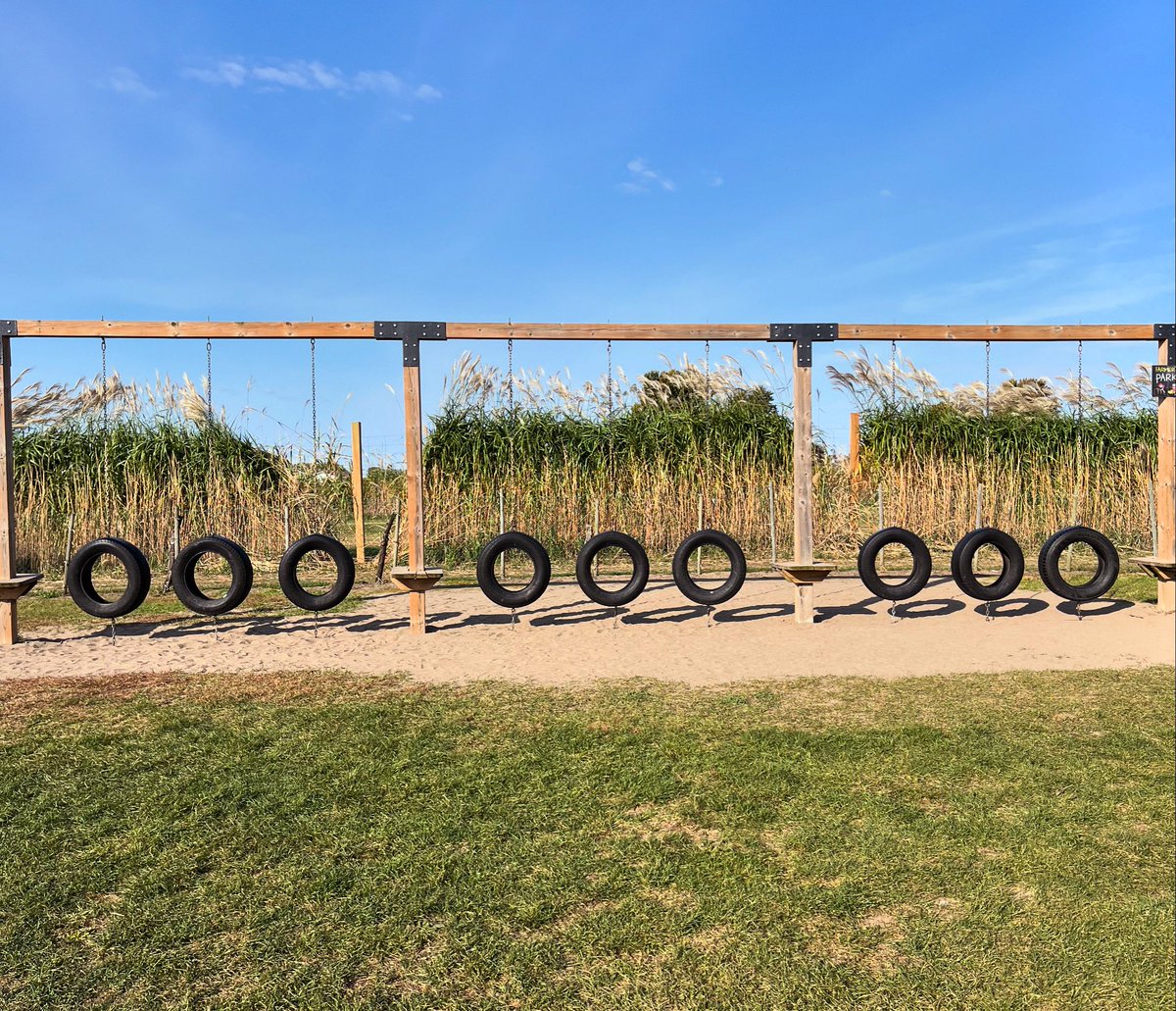 EveryoneCanMath's tweet image. 🛞How many tire swings? 
🛞How did you count them?
🛞Write a multiplication sentence that describes how many tire swings there are.
#mathiseverywhere #lookformath #mathtalk