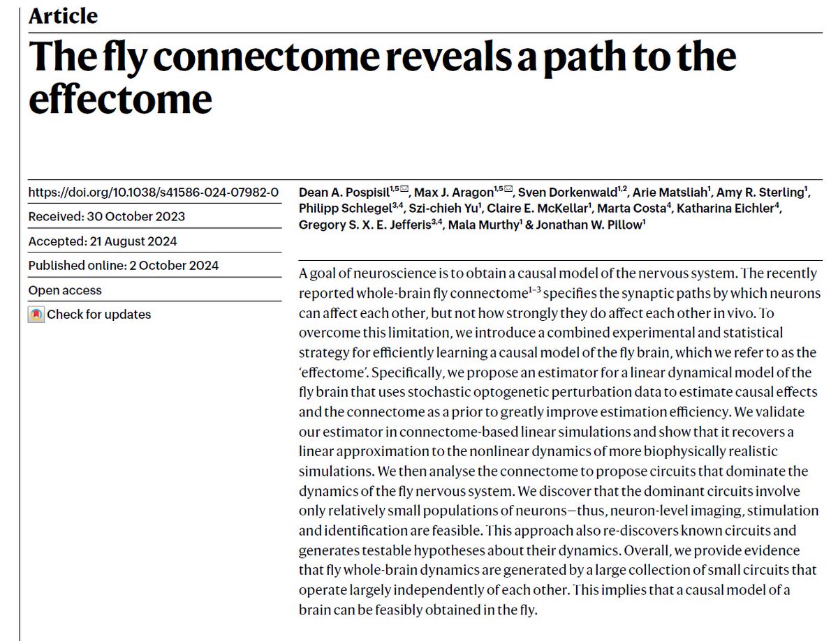 Luiz Pessoa tweet media