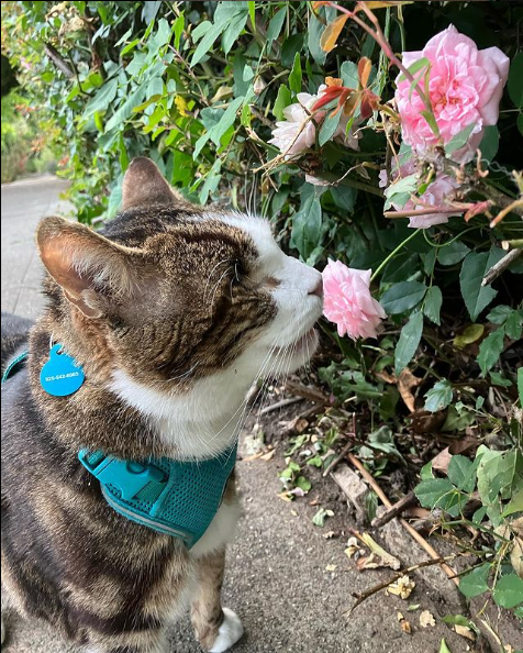 Andrea Klassen🏳️‍🌈 tweet media