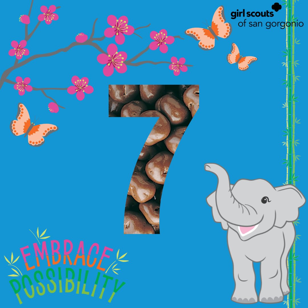 GirlScoutsSGC's tweet image. 🍪🍁📆 7 days left for customers to place orders using Online Girl Delivery!

#GSSGC #GirlScoutsofSanGorgonio #GirlScouts #fallproductsale #entreprenuership #girlboss #inlandempire #redlands