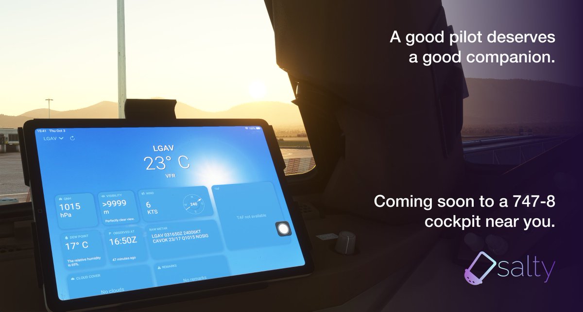 Salty Simulations tweet media