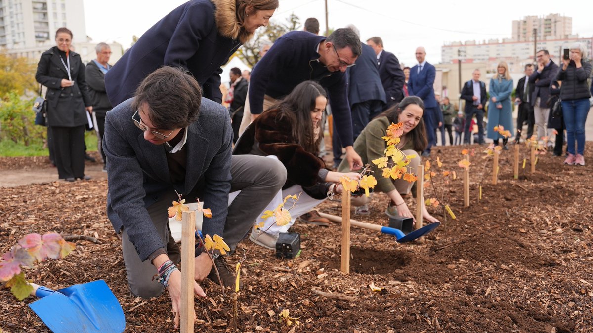 Dijon Métropole tweet media