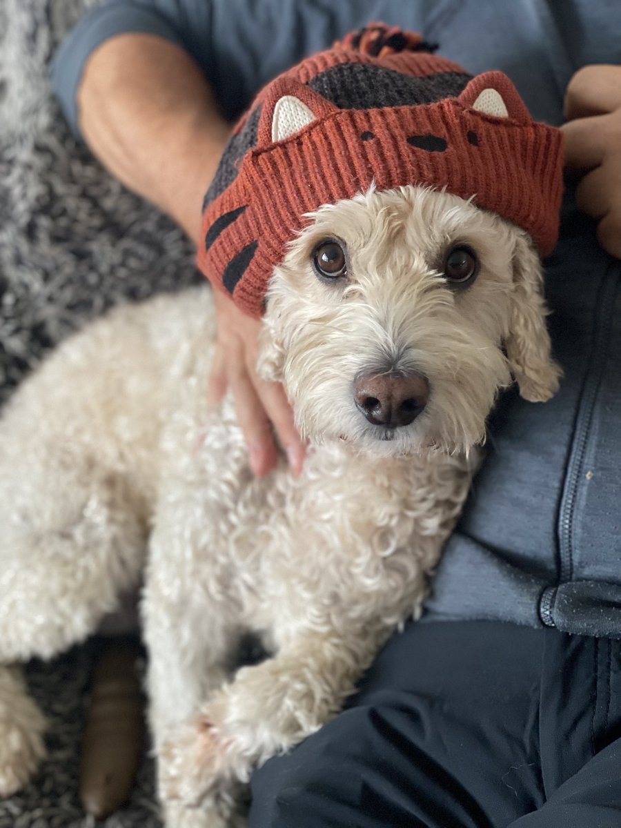 Rose Naylor tweet media