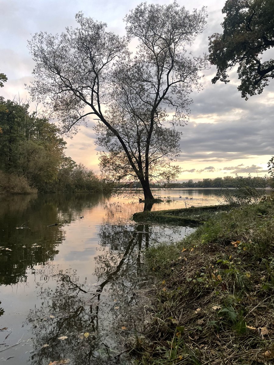 Lucias2106's tweet photo. Ráno po závodě to je nejlepší jít POMALU běhat. A k tomu západu Slunce je fajn přidat i svítání, co myslíte? #trebon #rannipohodovka https://t.co/dMKc7ha5CP