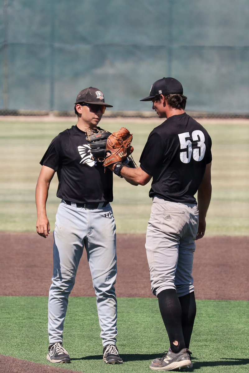 utpb_baseball's tweet image. Definitely got better this weekend. #FalconsUp #FlyHigh