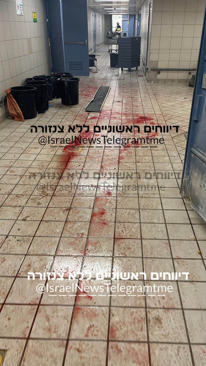 @gazze_haber tweet media