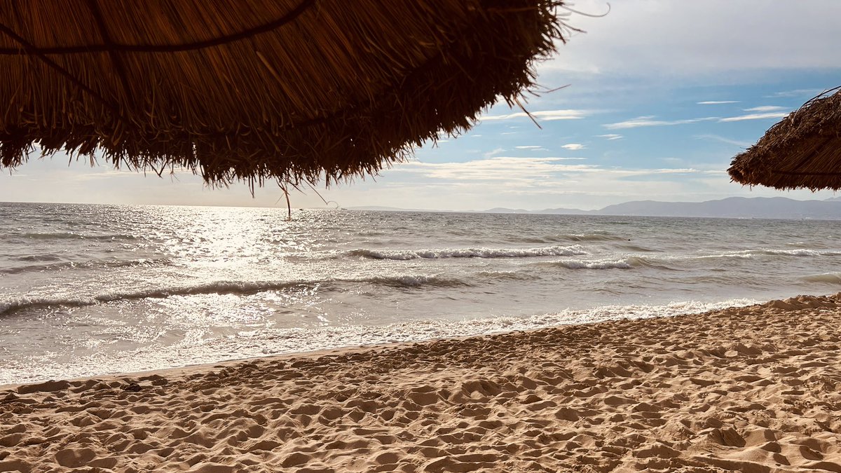 PongratzS's tweet photo. 10/2024 - life is better at the beach #mallorca #playadepalma #ballernario https://t.co/95TEAa1kIz