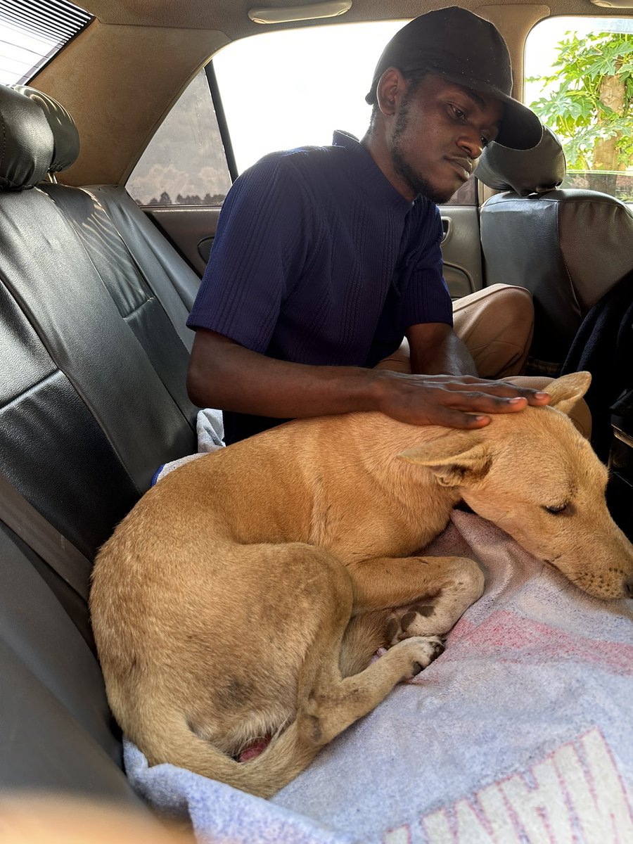 generous_shelt's tweet image. Together, we can help Mercy through this challenging time and show her our love and care. Keep spreading hope and kindness 💕 #PrayForMercy #SupportMercy #CommunityStrong 💪