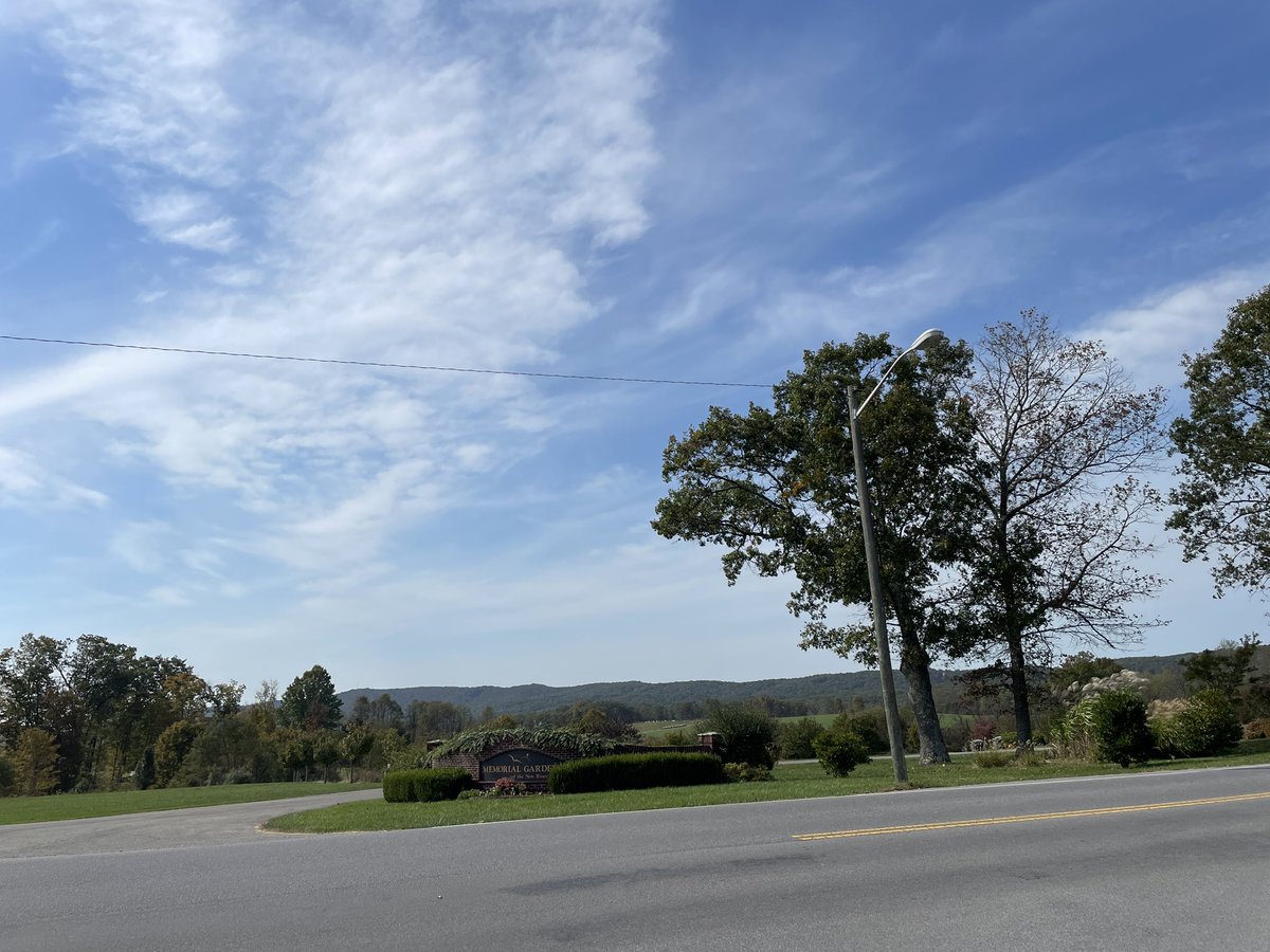 Razor Walf tweet media