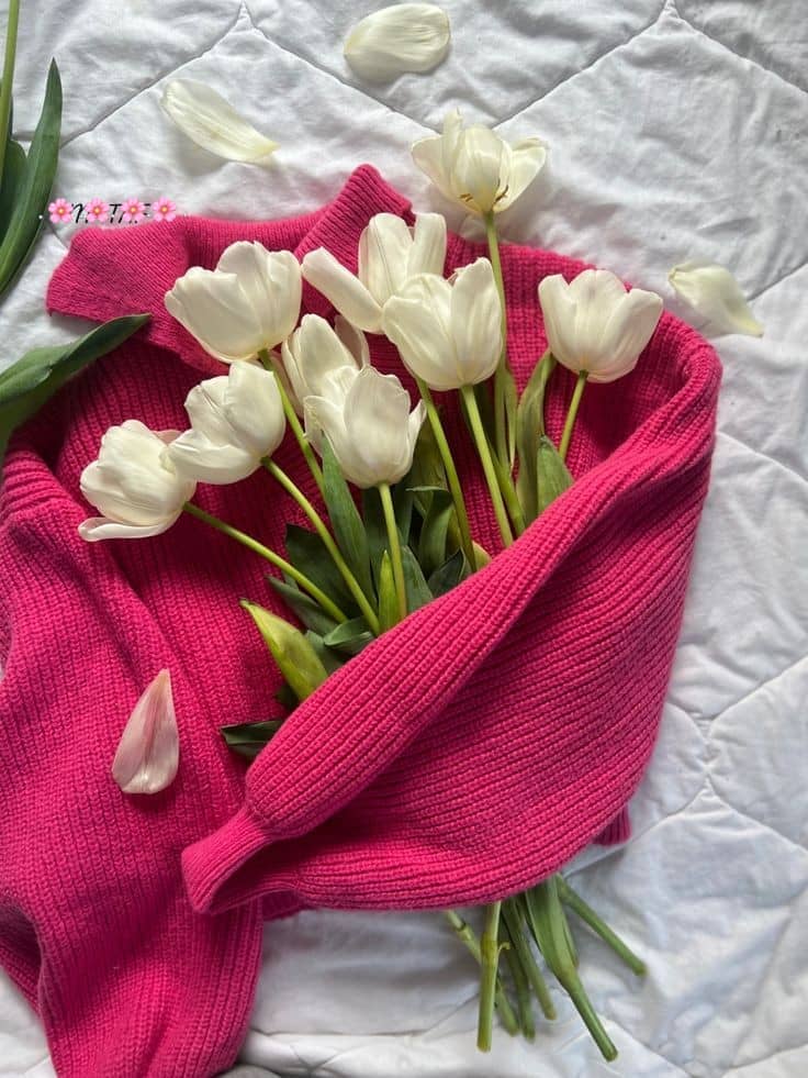 يا خآلق آلسعاده آستودعنآك آقدآرنآ
 فآكتب لنا السعــآده أين ما كنا "🤎.