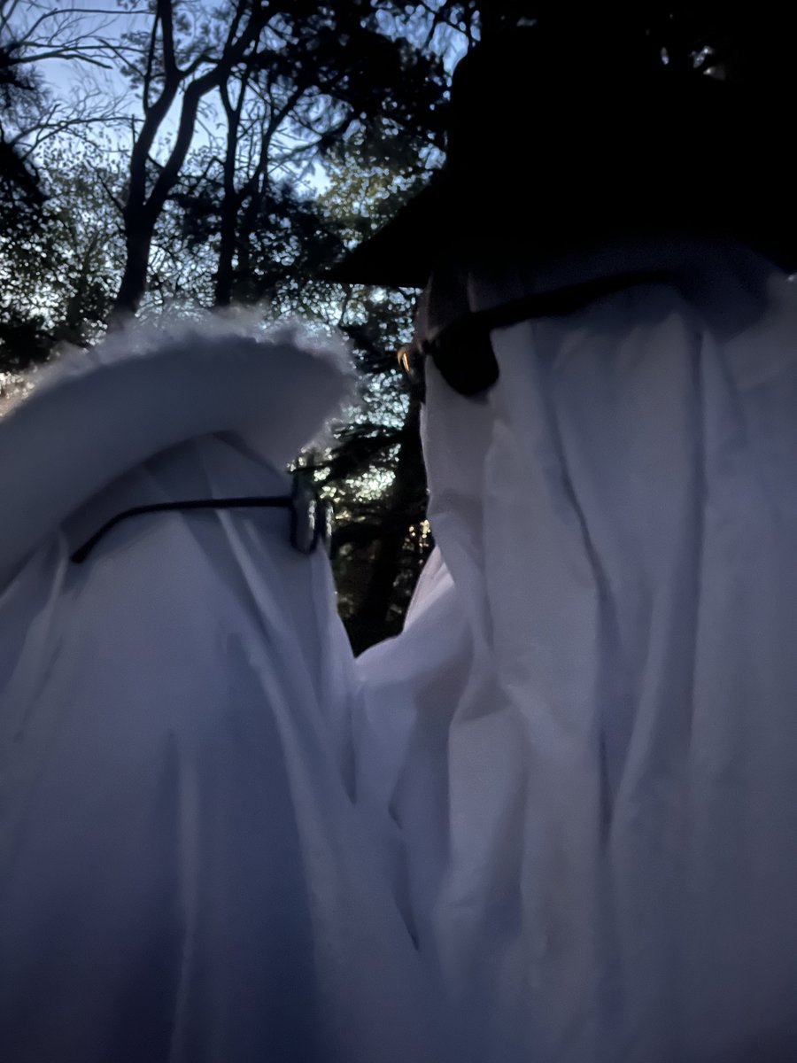 ImASlutForNina's tweet image. Cowboy Ghosts🤠🤠🤠👻👻👻