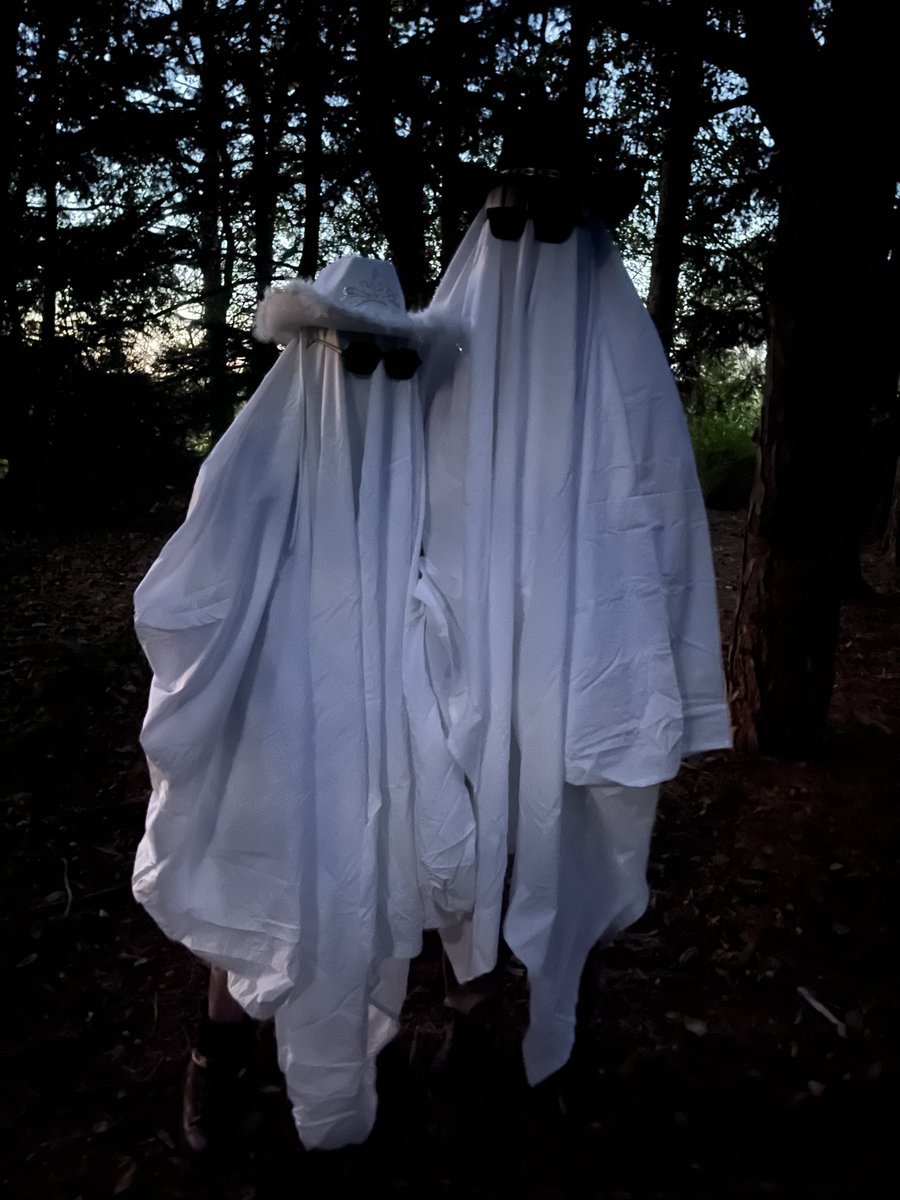 ImASlutForNina's tweet image. Cowboy Ghosts🤠🤠🤠👻👻👻