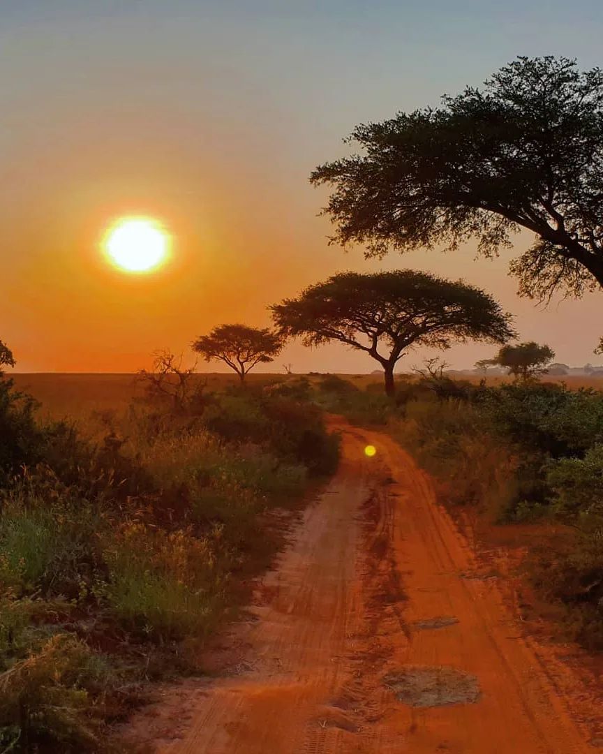 GraceWafulaMBA's tweet photo. A Ugandan sunset is the ideal way to wrap up the day in style!
#Openparkdayug #exploreuganda 
📸____beauty.of.nature____ https://t.co/yvk5MwO2PC