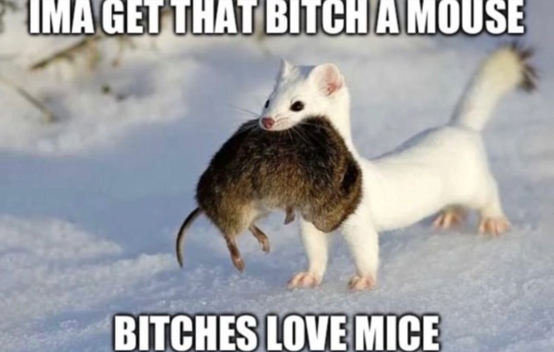 snowy (@computerangei) on Twitter photo 