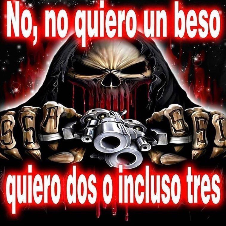 chincheto pirata somali tweet media