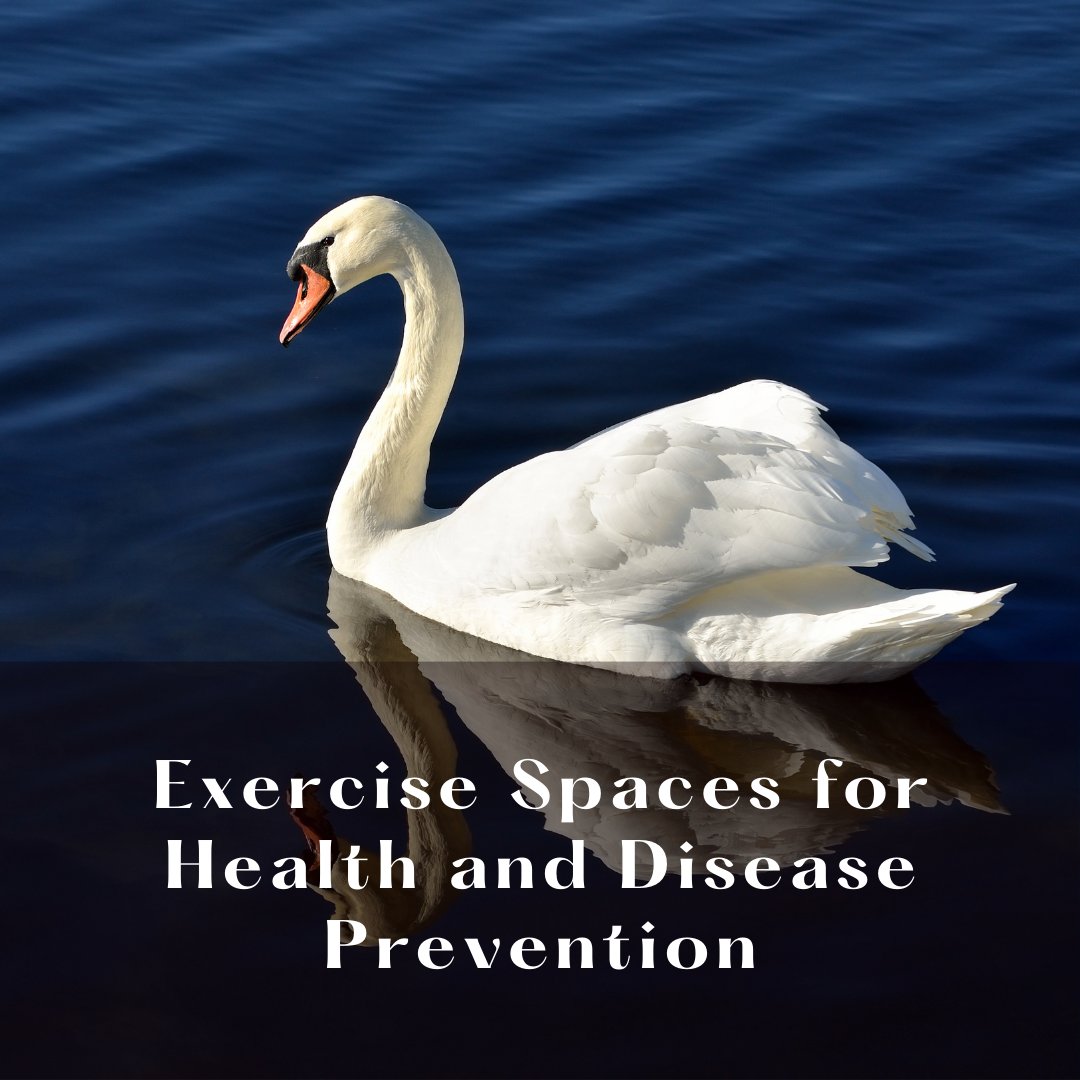 adrianamot_ca's tweet image. FRESH FROM OUR DESIGN BLOG 👉 my2centsondesign.com 
Physical health is an integral part of the Selftropy lifestyle. Learn how to create exercise spaces within your home that promote health and prevent disease. 

#interiordesign #neurodesign #landofdochia #selftropy