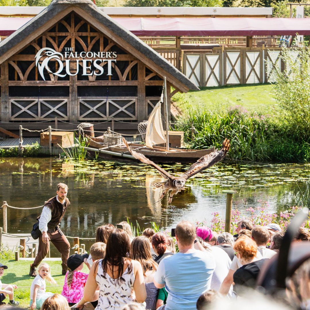 Did you know that you can enjoy over 15 live shows and attractions with 50% midweek tickets? ⚔️🏰🤩

But hurry, this is a limited-time offer, ending 25th October! warwick-castle.com/tickets-passes…