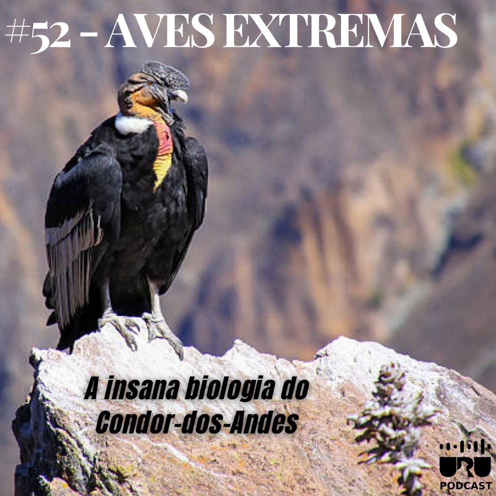 PodcastUru's tweet photo. Amanhã, 6AM https://t.co/3fIg9z6V7B