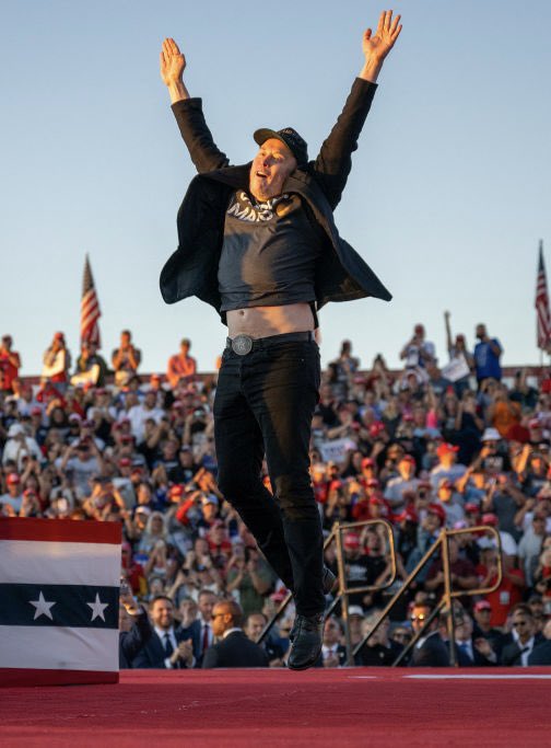 DogeDesigner tweet media