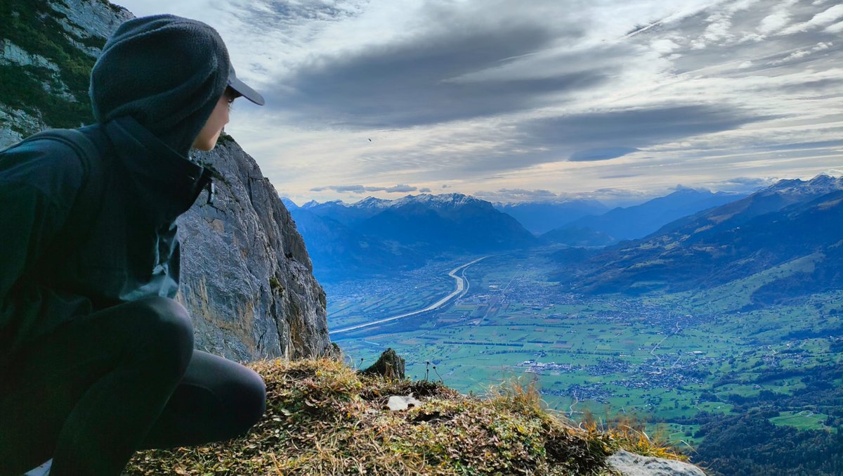Average swiss landscape