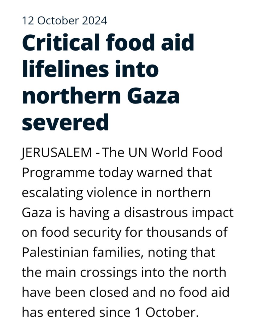 Matt Leys tweet media