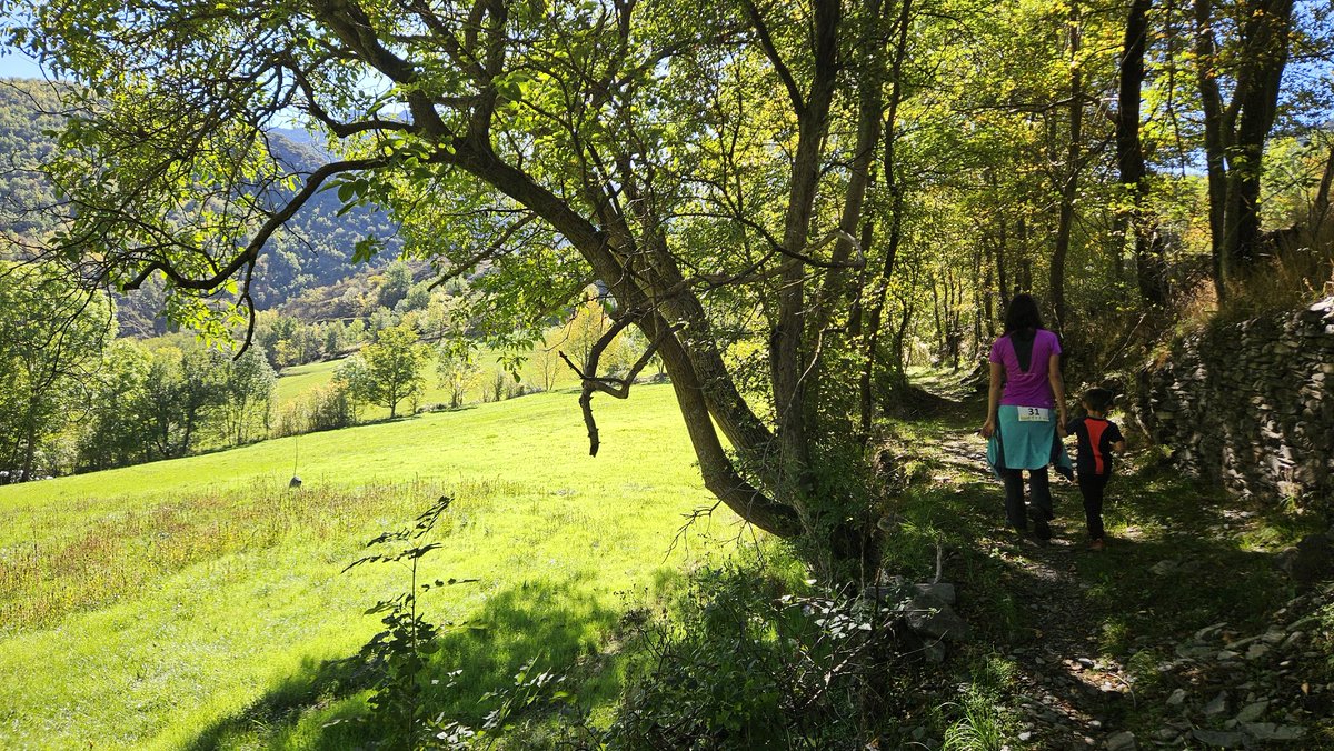 pnaltpirineu's tweet image. Felicitats @marxacardos per la magnífica organització de la XII Marxa de les Valls de Cardós! 🎉 Des del #PNAltPirineu, orgullosos d’haver col·laborat en l'adequació dels camins senyalitzats i en el taller de menjadores d'ocells. 🐦 
Gràcies a tots! 🌄 
#VallsdeCardós #Senderisme