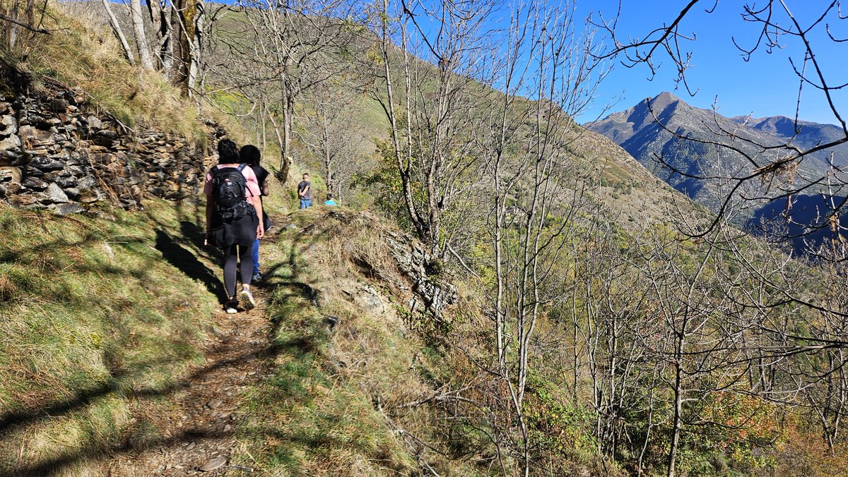 pnaltpirineu's tweet image. Felicitats @marxacardos per la magnífica organització de la XII Marxa de les Valls de Cardós! 🎉 Des del #PNAltPirineu, orgullosos d’haver col·laborat en l'adequació dels camins senyalitzats i en el taller de menjadores d'ocells. 🐦 
Gràcies a tots! 🌄 
#VallsdeCardós #Senderisme