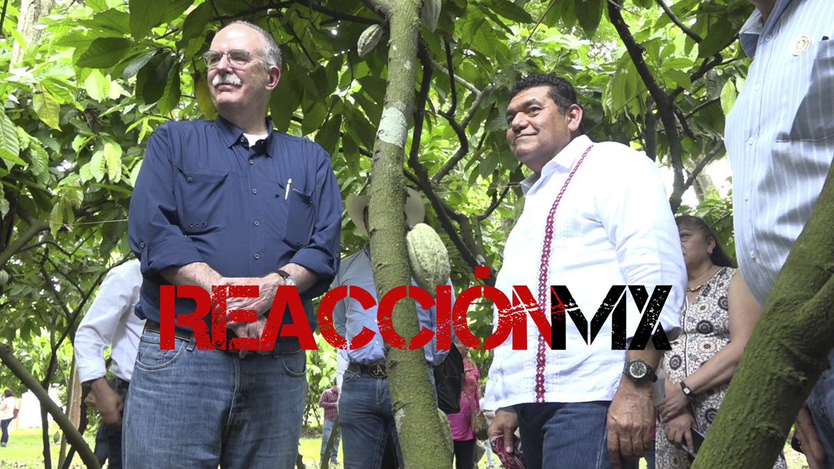 Reaccionnmx's tweet image. El Secretario de Agricultura federal Julio Berdegué  visitó #Tabasco para anunciar el programa Cosechando Soberania en beneficio de 30 mil productores y se comprometió en mejorar la producción acuícola y ganadera en #Tabasco.
YouTube   👉youtu.be/3-xC7oZmTs0?si…