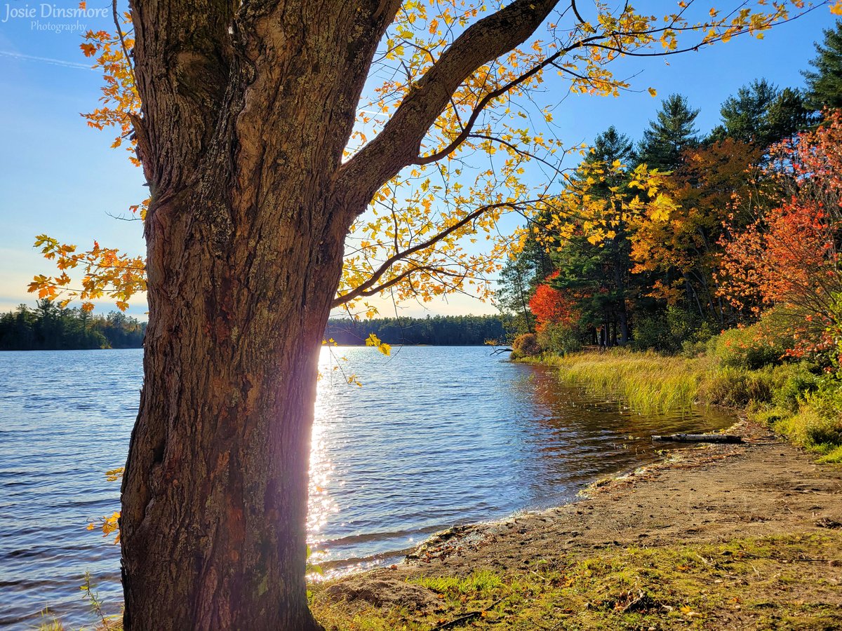 Fall at the park!🍂

📍 Samuel de Champlain Provincial Park, Ontario.

#fallcolours #ontarioparks #ShareYourWeather