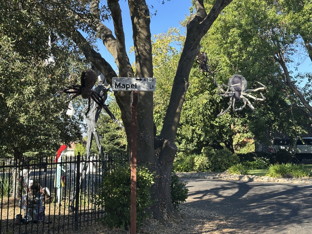 Tiare Liberty Sol 🌺☀️ tweet media