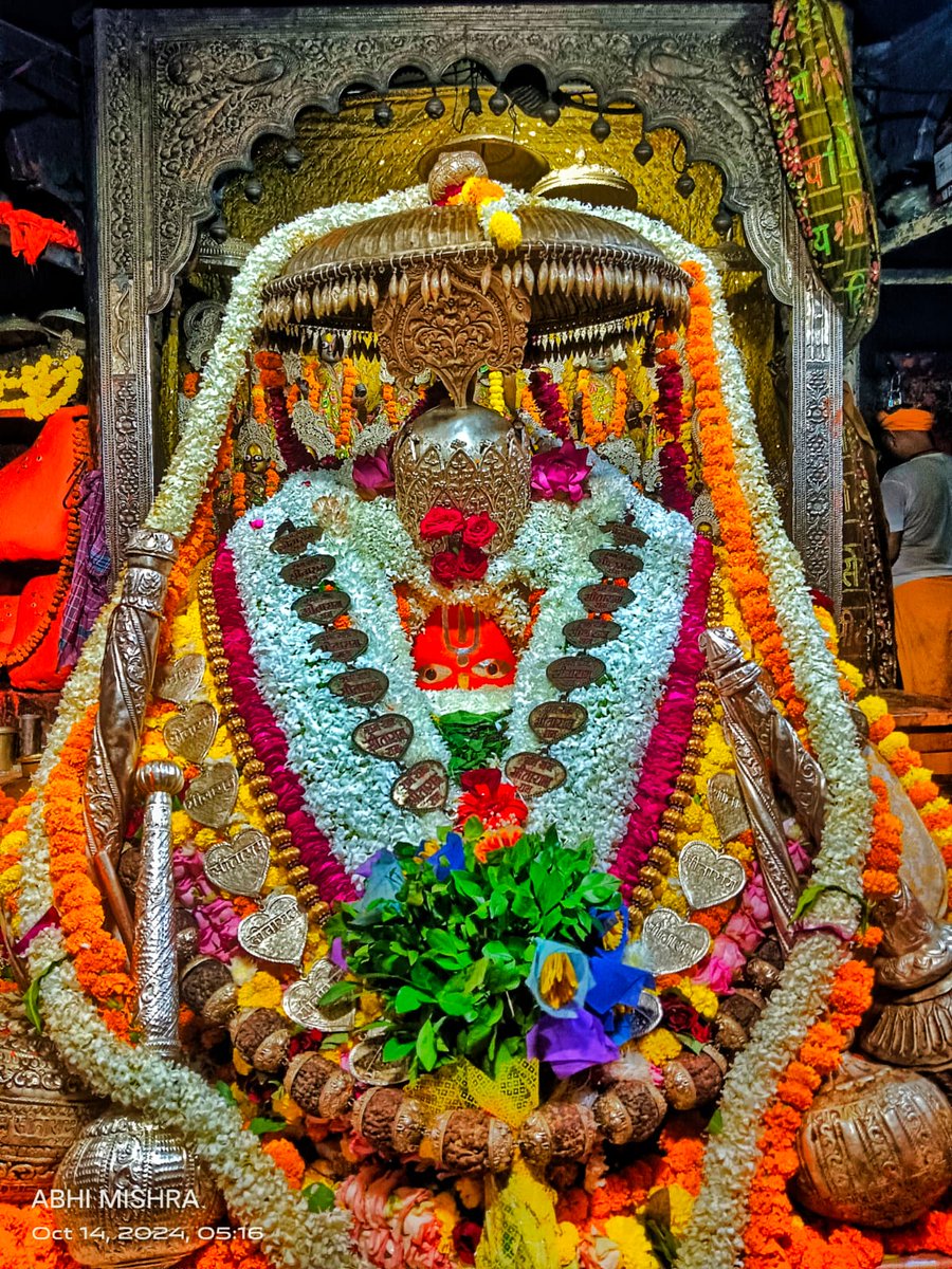 अयोध्या से महाराजाधिराज श्री हनुमान जी महाराज के अद्भुत दर्शन 🙏🌿