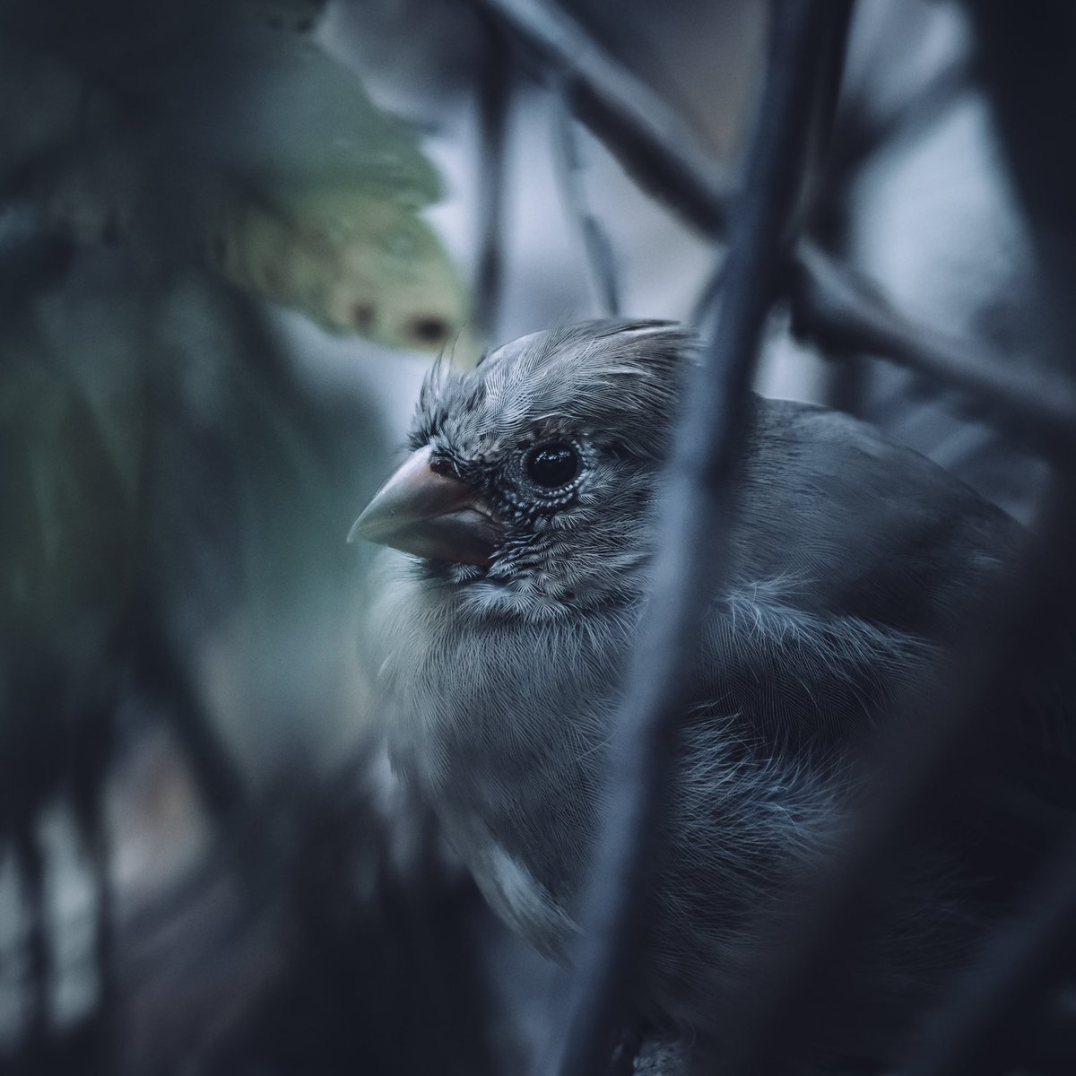 ⚫️⚽️🟡Gerald⭐️⭐️⭐️ (@pizzathehoff) on Twitter photo 