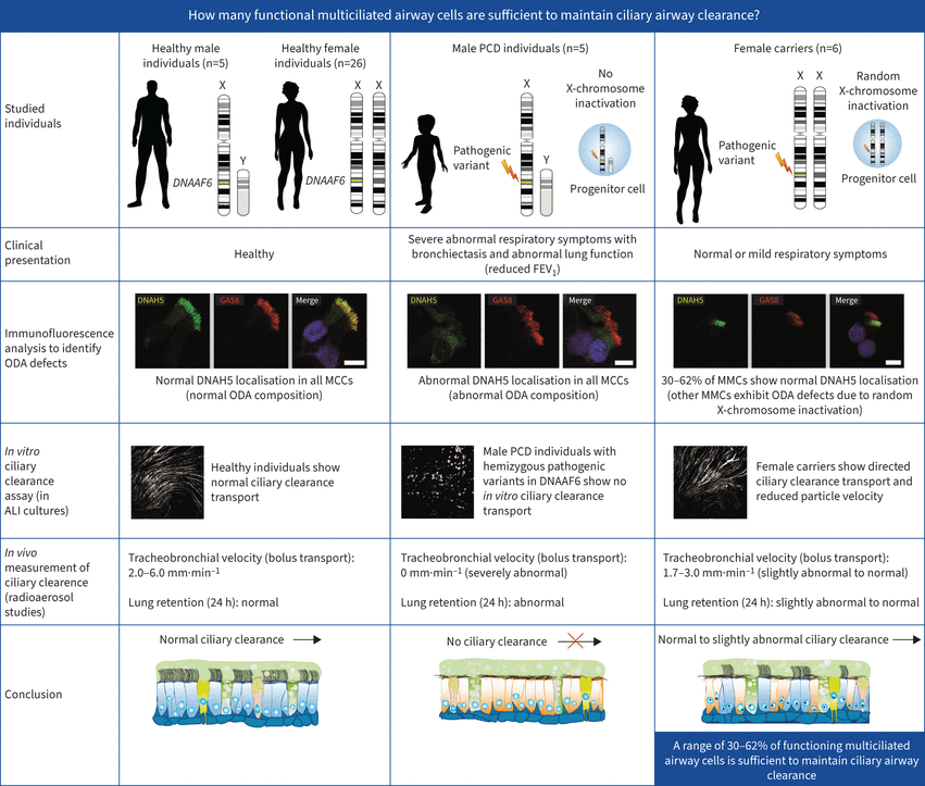 Alfredo Pachas tweet media